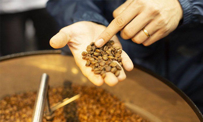 CMN remaneja recursos de ajuda a cafezais afetados por geadas