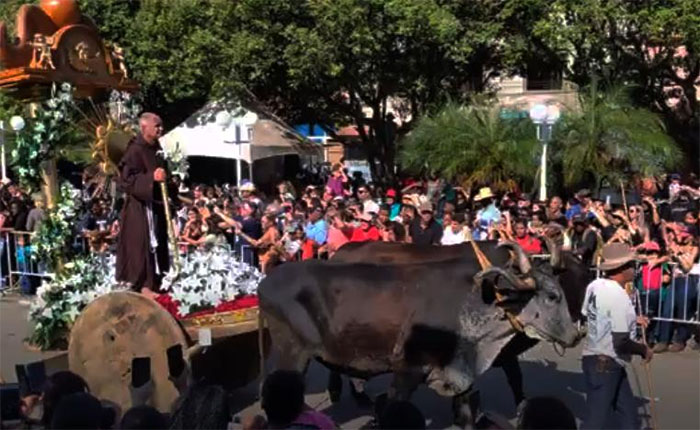 Itaperuna: Milhares de fiéis e turistas assistem à procissão dos carros de bois no Distrito de Raposo