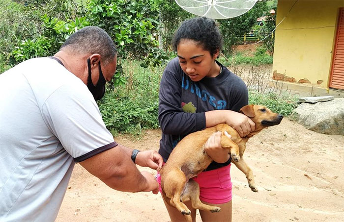 Em Itaperuna, campanha de vacinação antirrábica é realizada em Itajara e São Sebastião