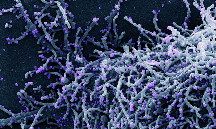 OMS alerta sobre nova fase de Covid-19 na Europa