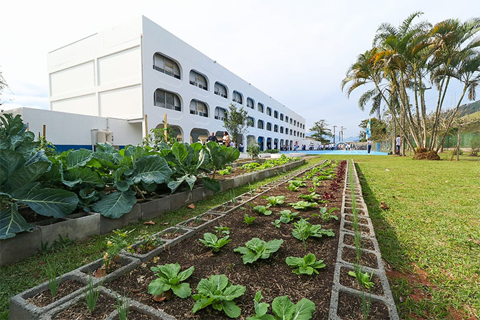 RJ: Renovação de matrículas na rede estadual de ensino poderá ser feita entre os dias 3 e 16 de novembro