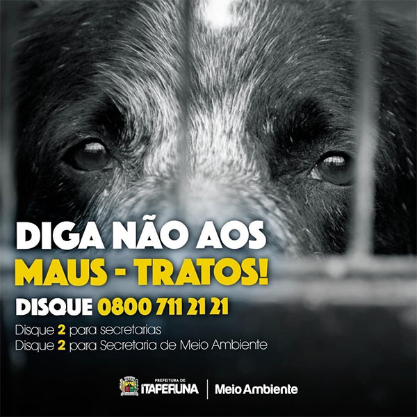 ITAPERUNA: DIGA NÃO AOS MAUS-TRATOS DE ANIMAIS – DENUNCIE PELO NÚMERO 0800 711 21 21