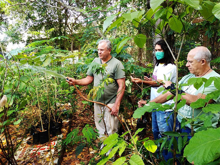 Produção e manejo de mudas é uma das atividades da Secretaria do Ambiente de Itaperuna