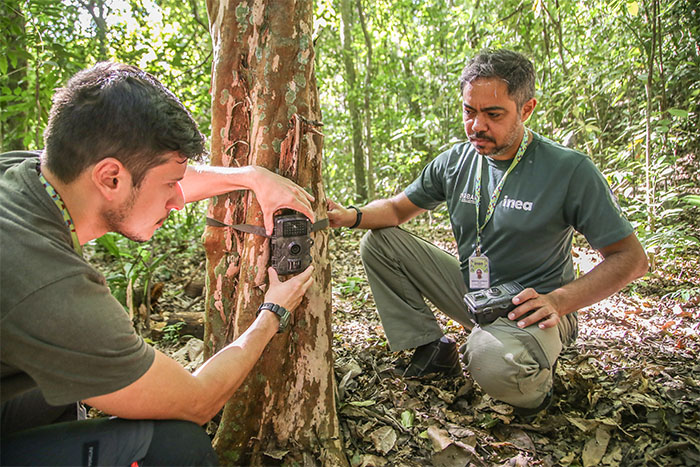480 câmeras para monitoramento da fauna silvestre no RJ