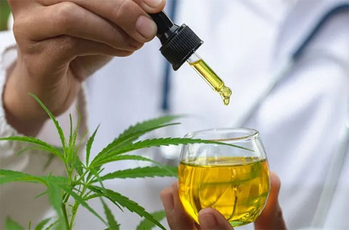 À espera de decisão do STF, cinco municípios do Rio abriram contratações para pacientes que usam produtos derivados de cannabis
